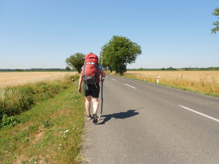 bfd8a990-ace8-42cf-9df1-70f87edb8a91